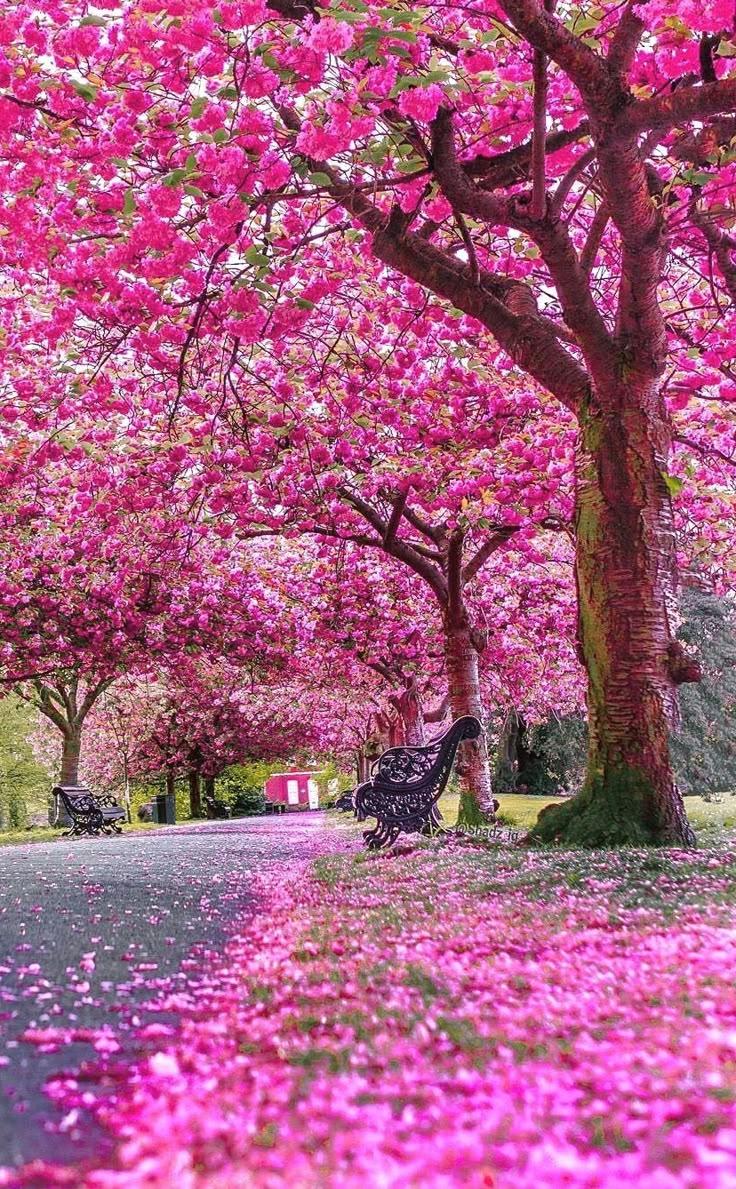 SummitGarden workshop space where corporate flower arrangements are designed and prepared for business delivery